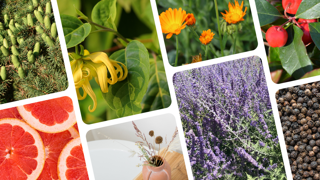 Signature Essential Oil Blends